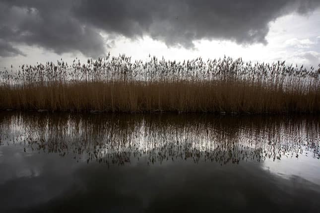 eber_golu_foto_023