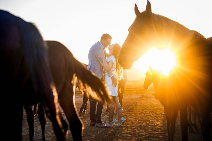 Romantic Cappadocia Photoshoot with Wild Horses